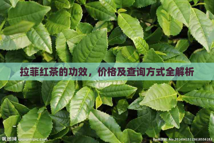 拉菲红茶的功效，价格及查询方式全解析