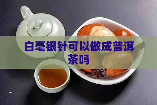 白毫银针可以做成普洱茶吗