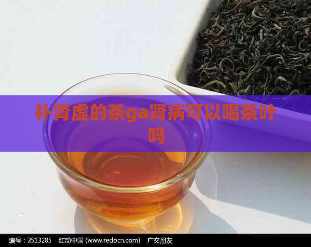 补肾虚的茶ga肾病可以喝茶叶吗