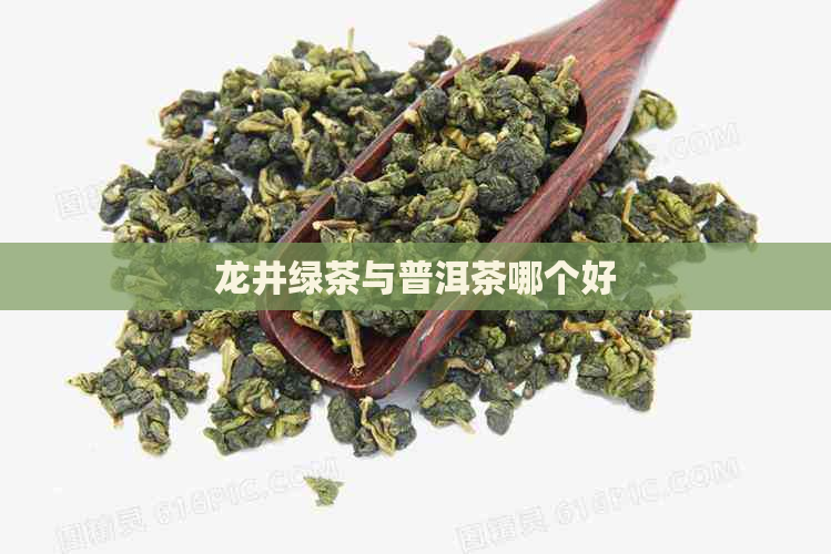 龙井绿茶与普洱茶哪个好