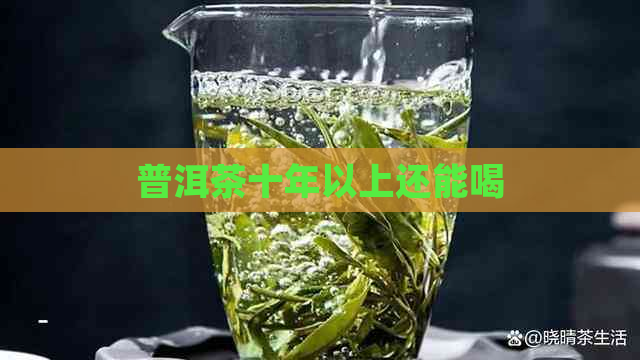 普洱茶十年以上还能喝