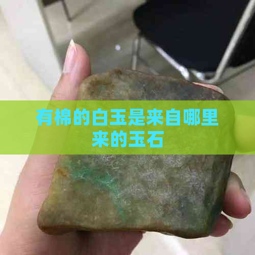 有棉的白玉是来自哪里来的玉石