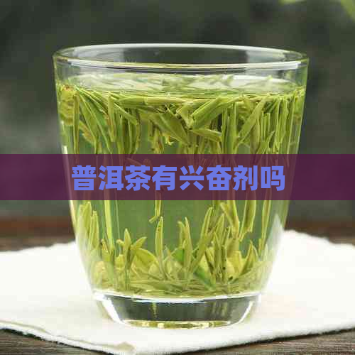 普洱茶有     吗