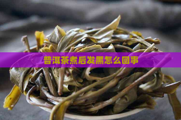 普洱茶煮后发黑怎么回事