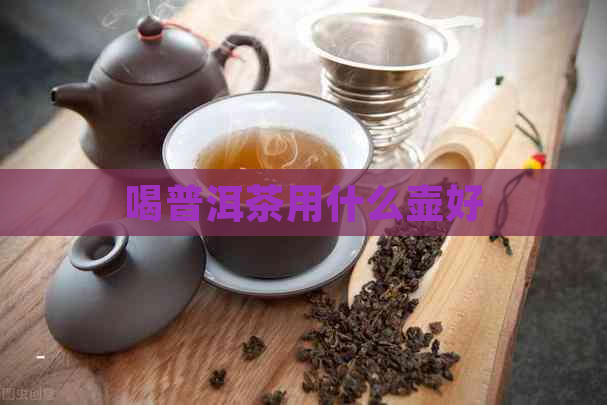 喝普洱茶用什么壶好