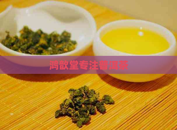 鸿歆堂专注普洱茶