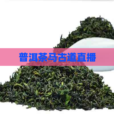 普洱茶马古道直播