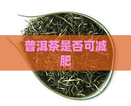 普洱茶是否可减肥