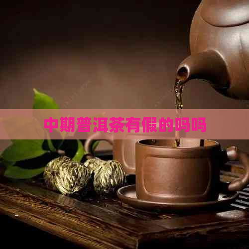 中期普洱茶有假的吗吗