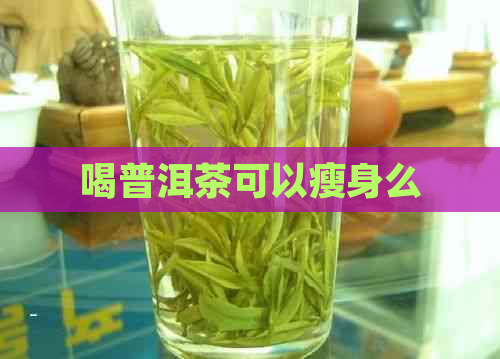 喝普洱茶可以瘦身么