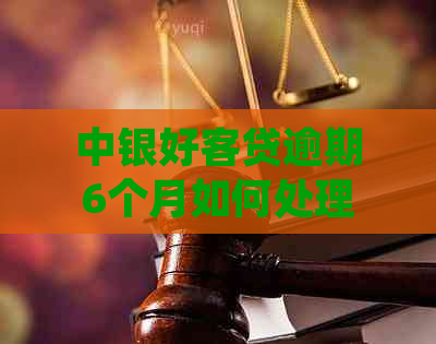 中银好客贷逾期6个月如何处理