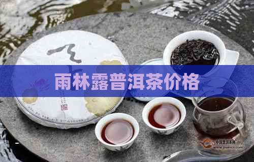 雨林露普洱茶价格