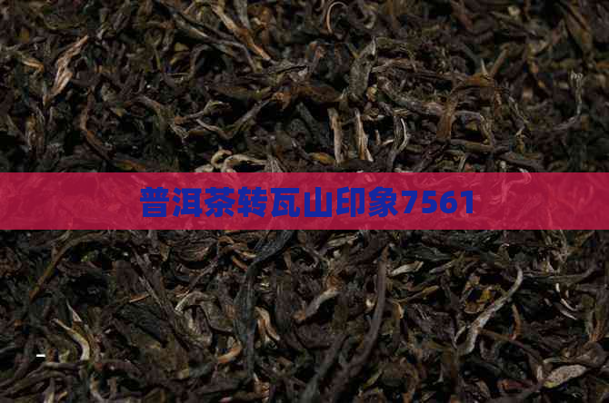 普洱茶转瓦山印象7561