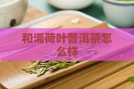 和浠荷叶普洱茶怎么样