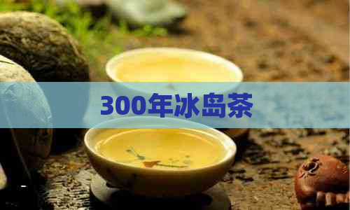 300年冰岛茶