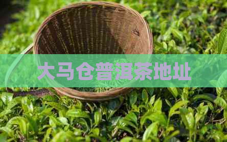 大马仓普洱茶地址