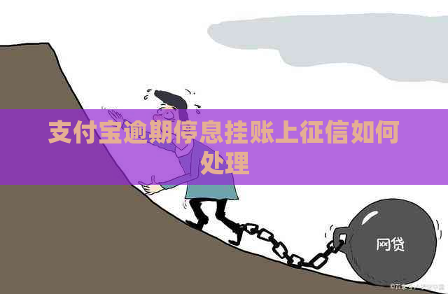 支付宝逾期停息挂账上如何处理