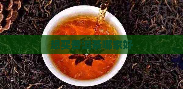 想买普洱茶哪家好