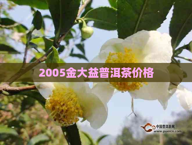 2005金大益普洱茶价格