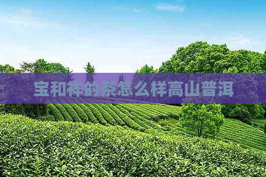 宝和祥的茶怎么样高山普洱