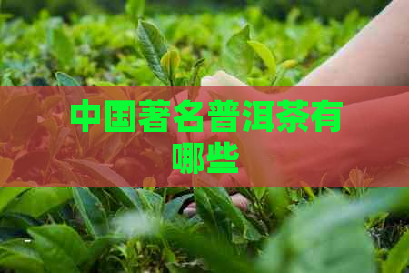 中国著名普洱茶有哪些