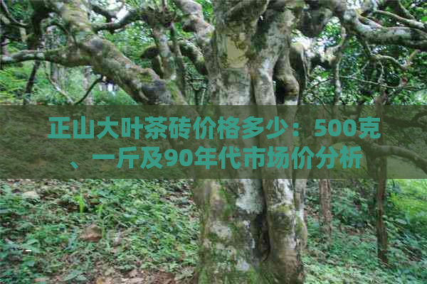 正山大叶茶砖价格多少：500克、一斤及90年代市场价分析