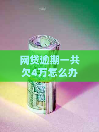 网贷逾期一共欠4万怎么办