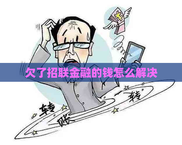 欠了招联金融的钱怎么解决