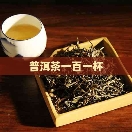 普洱茶一百一杯