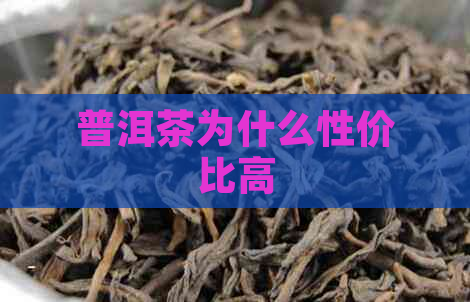 普洱茶为什么性价比高