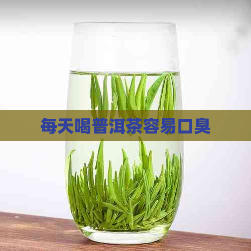 每天喝普洱茶容易口臭