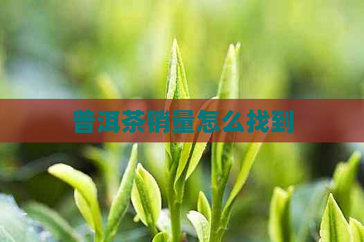 普洱茶销量怎么找到