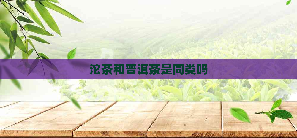 沱茶和普洱茶是同类吗