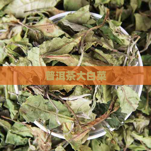 普洱茶大白菜