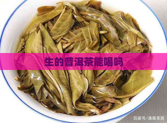 生的普洱茶能喝吗