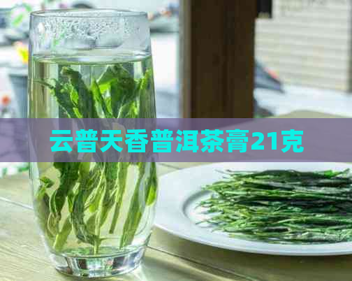 云普天香普洱茶膏21克