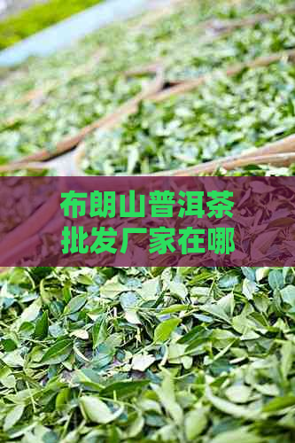 布朗山普洱茶批发厂家在哪里