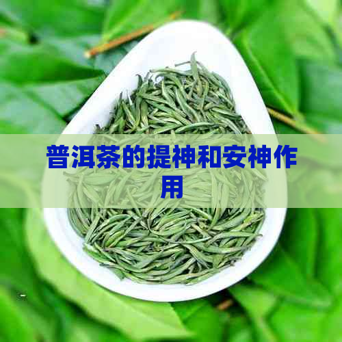 普洱茶的提神和安神作用