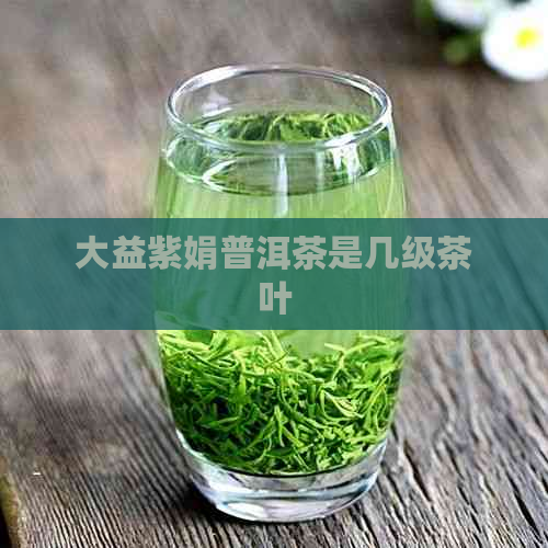 大益紫娟普洱茶是几级茶叶