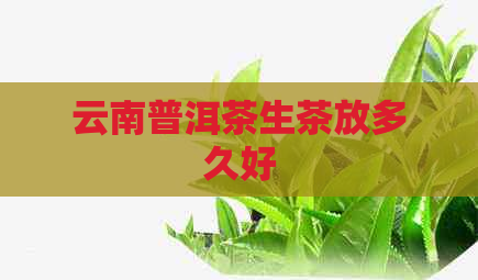 云南普洱茶生茶放多久好