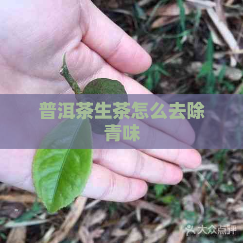 普洱茶生茶怎么去除青味