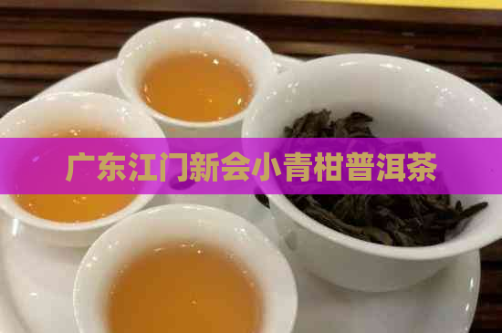 广东江门新会小青柑普洱茶