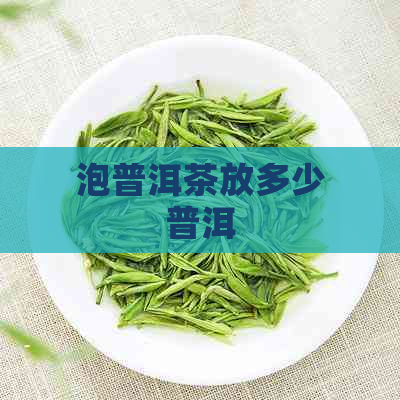 泡普洱茶放多少普洱