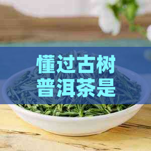 懂过古树普洱茶是生茶吗