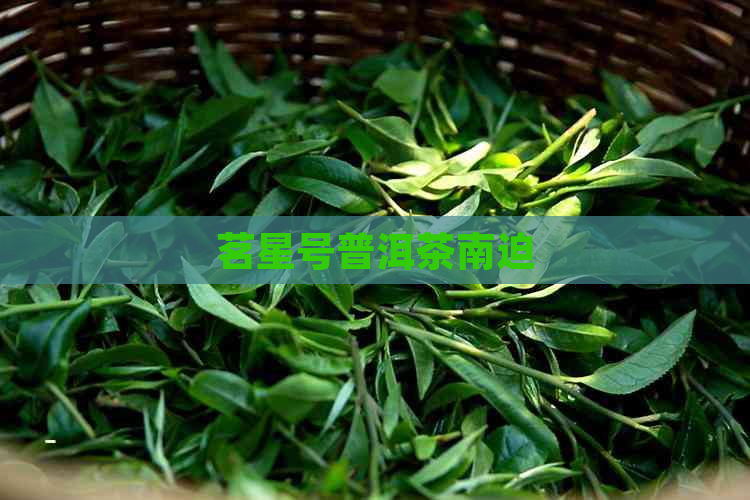 茗星号普洱茶南迫