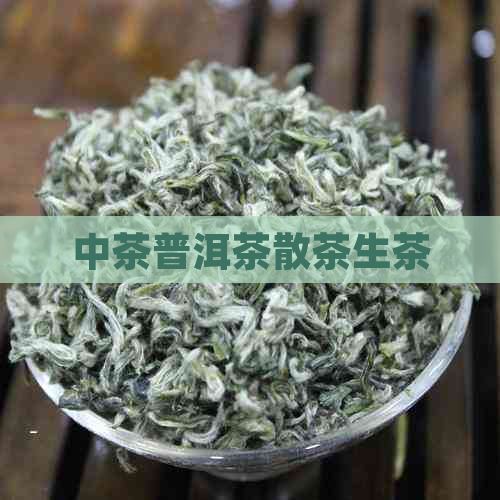 中茶普洱茶散茶生茶