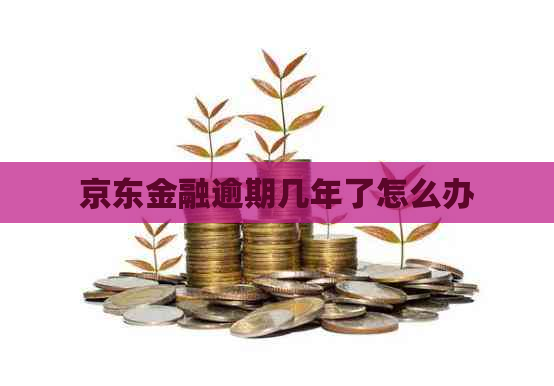 京东金融逾期几年了怎么办