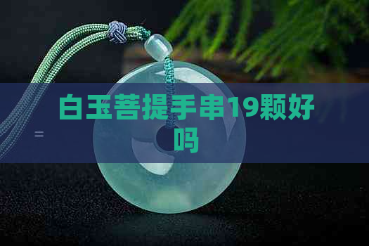 白玉菩提手串19颗好吗