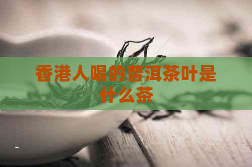 人喝的普洱茶叶是什么茶