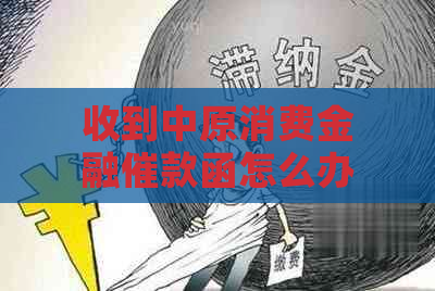 收到中原消费金融催款函怎么办